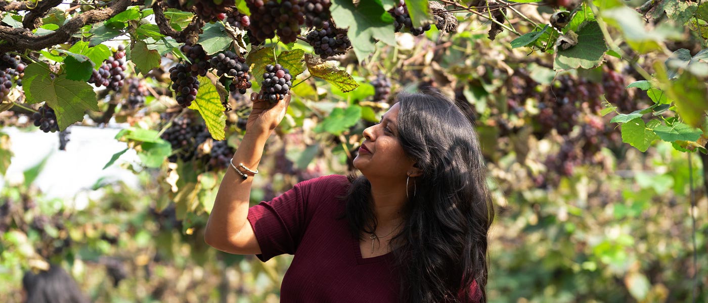 wine tour bangalore girl holiding grapes