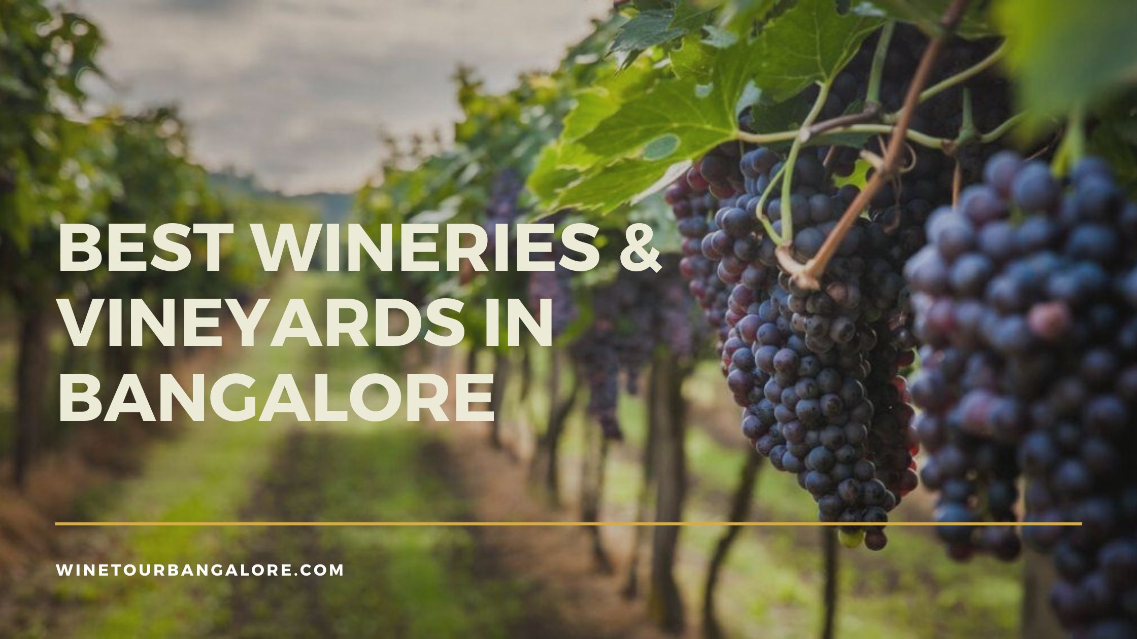 wineries in Bangalore